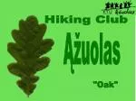 Ąžuolas - slide 1