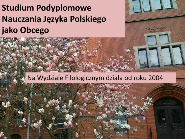 studium podyplomowe nauczania j zyka polskiego jako obcego