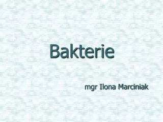 bakterie