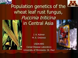 Population genetics of the wheat leaf rust fungus, Puccinia triticina in Central Asia