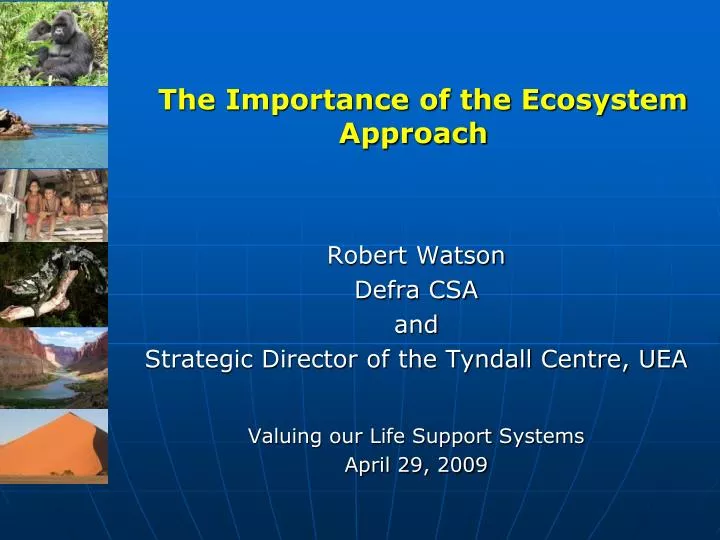 the importance of the ecosystem approach