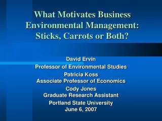 What Motivates Business Environmental Management: Sticks, Carrots or Both?