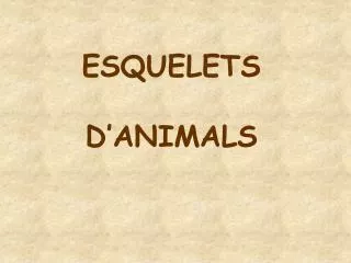 esquelets d animals