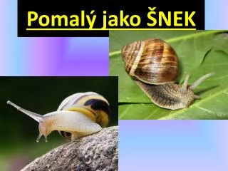 pomal jako nek