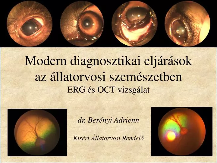 modern diagnosztikai elj r sok az llatorvosi szem szetben
