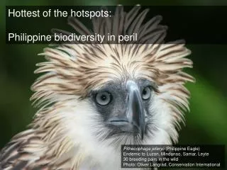 Hottest of the hotspots: Philippine biodiversity in peril