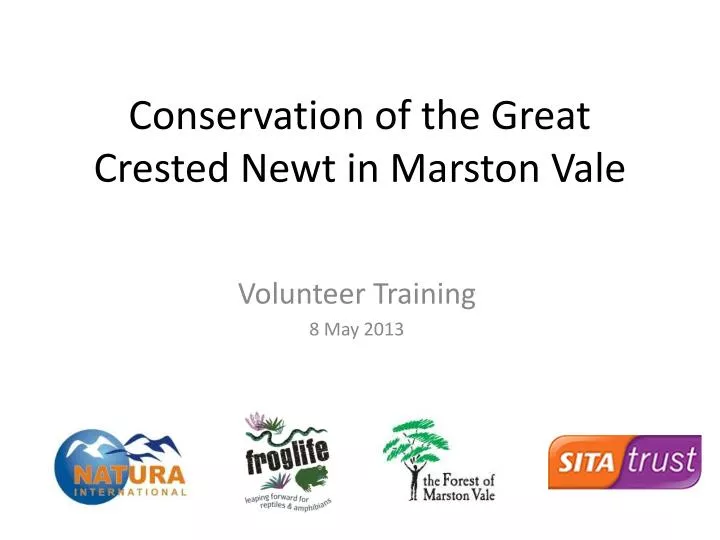 conservation of the great crested newt in marston vale