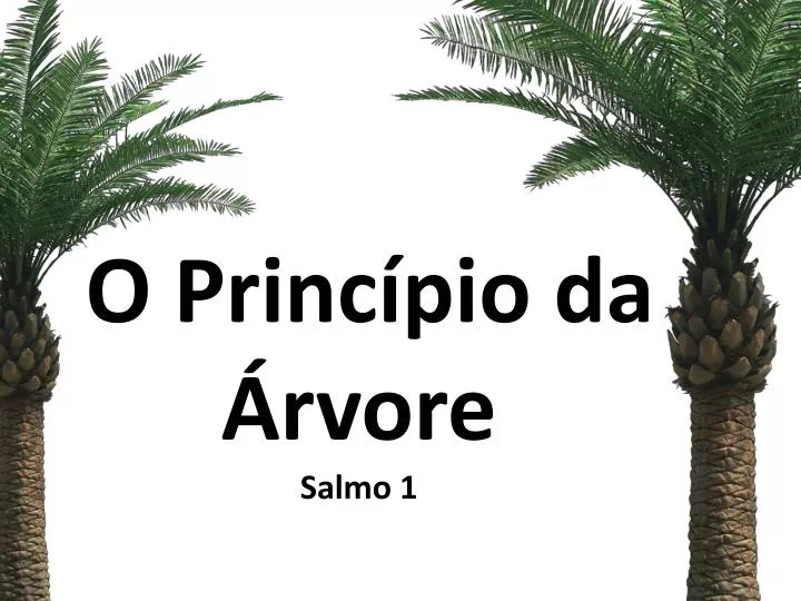 o princ pio da rvore salmo 1