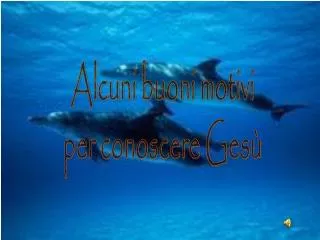 Alcuni buoni motivi per conoscere Gesù