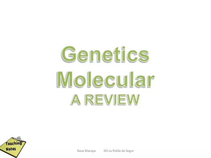 genetics molecular