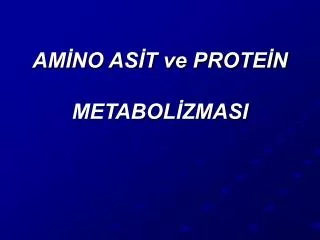 am no as t ve prote n metabol zmasi