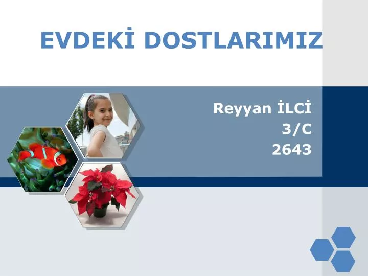 evdek dostlarimiz