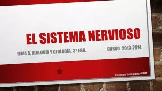 el sistema nervioso