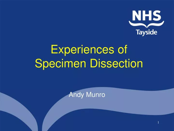 experiences of specimen dissection