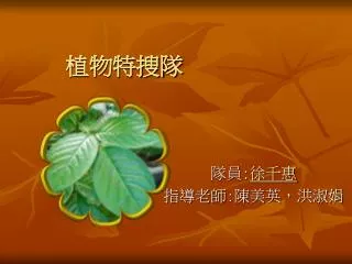 slide1