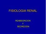 FISIOLOGIA RENAL