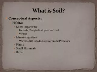 What is Soil?
