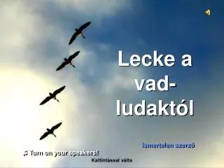 lecke a vad ludakt l