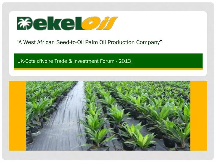 a west african seed to oil palm oil production company