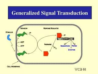 Generalized Signal Transduction