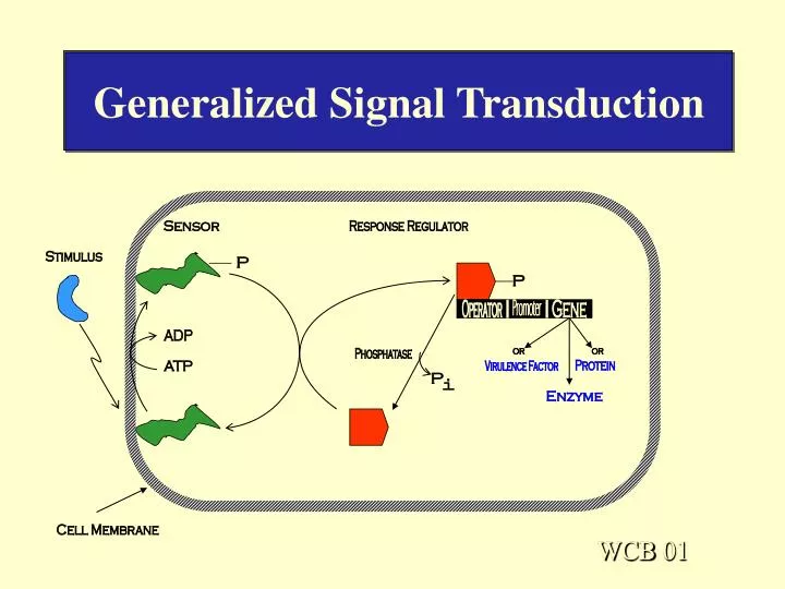 generalized signal transduction