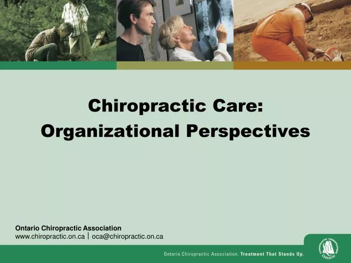 chiropractic care organizational perspectives