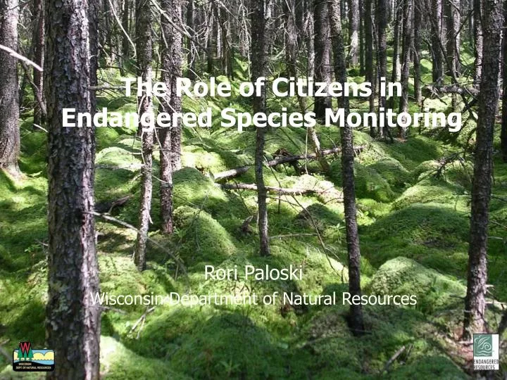 the role of citizens in endangered species monitoring