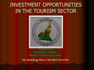 INVESTMENT OPPORTUNITIES IN THE TOURISM SECTOR