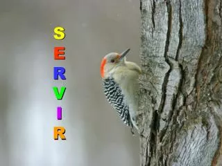 s e r v i r
