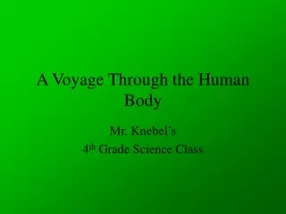 A Voyage Through the Human Body