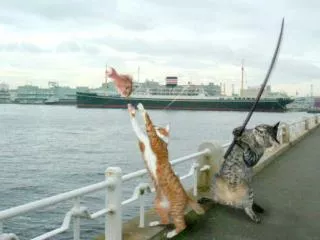 Les meilleures photos de L'année 2005 D'après NBC