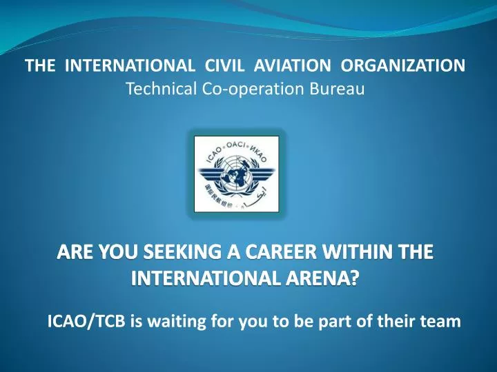 are you seeking a career within the international arena
