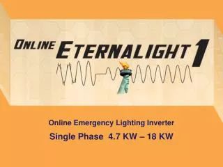 online emergency lighting inverter