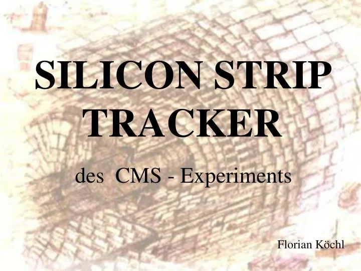 silicon strip tracker