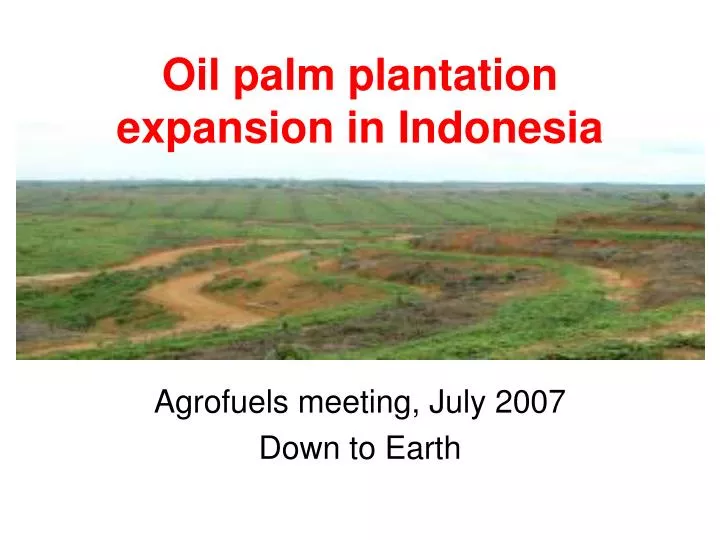 oil palm plantation expansion in indonesia