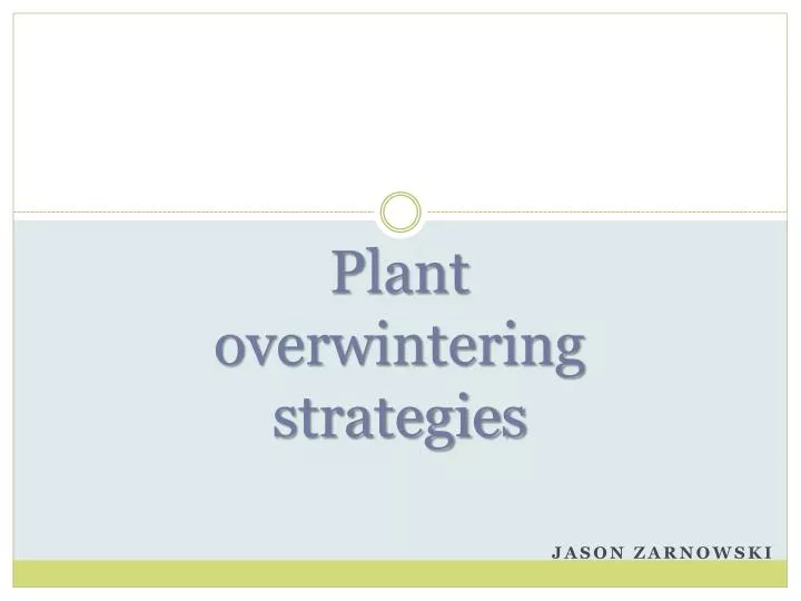 plant overwintering strategies