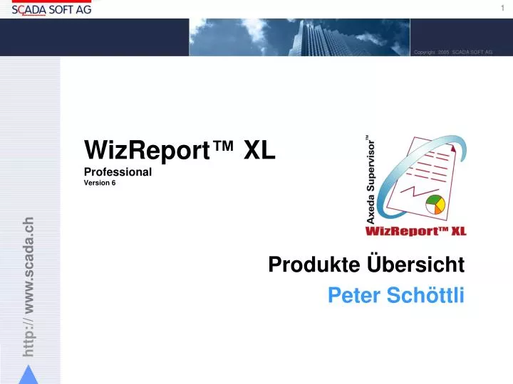 wizreport xl professional version 6