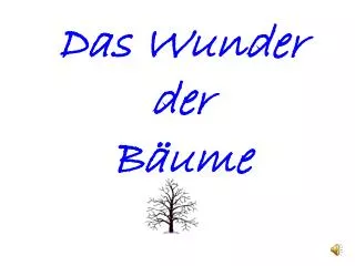das wunder der b ume
