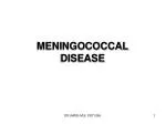 MENINGOCOCCAL DISEASE - slide 1