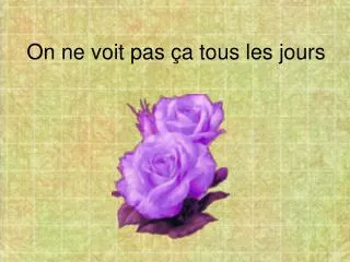 on ne voit pas a tous les jours