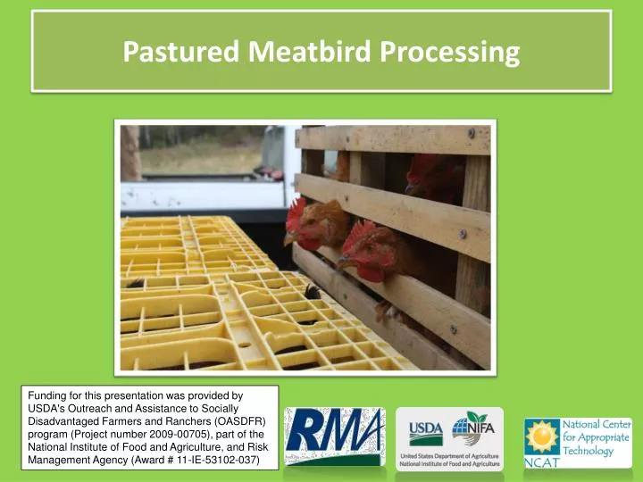 pastured meatbird processing