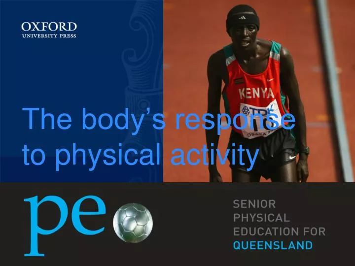 the body s response to physical activity