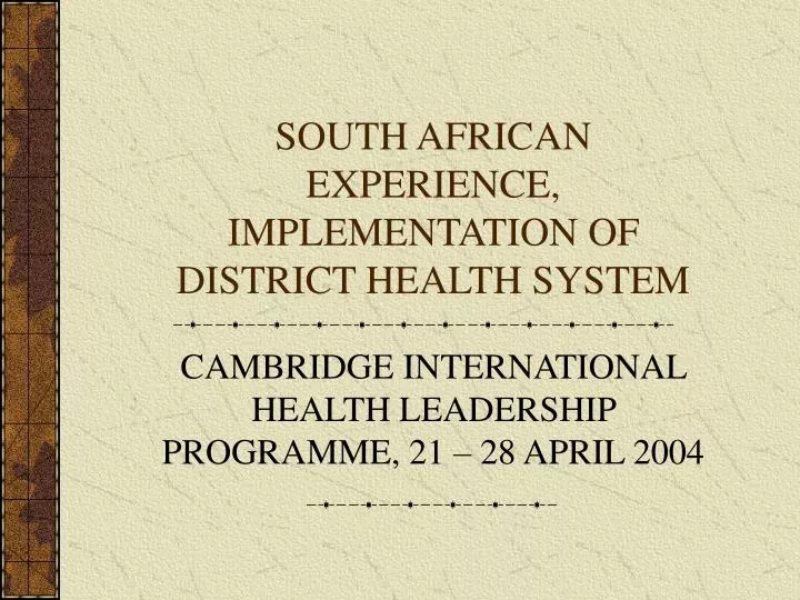 south african experience implementation of district health system