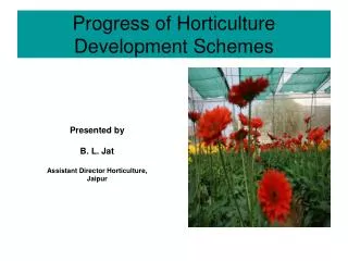 Progress of Horticulture Development Schemes