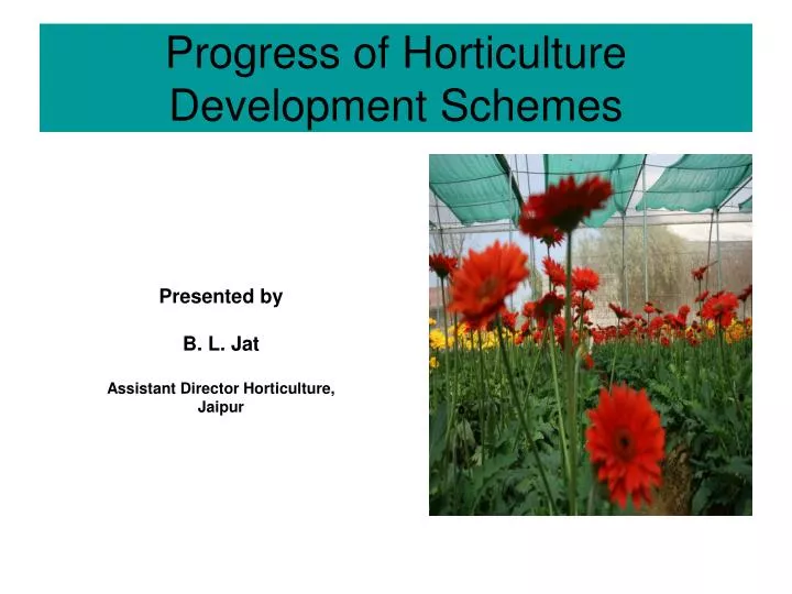 progress of horticulture development schemes