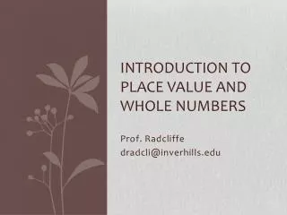 Introduction to place value and whole numbers