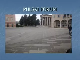 pulski forum