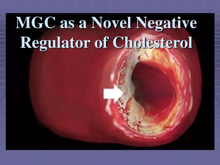 mgc as a novel negative regulator of cholesterol