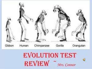 Evolution Test Review ~ Mrs. Connor