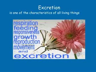 Excretion is one of the characteristics of all living things